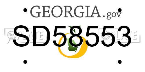 SD58553 Georgia License Plate