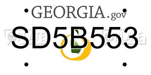 SD5B553 Georgia License Plate