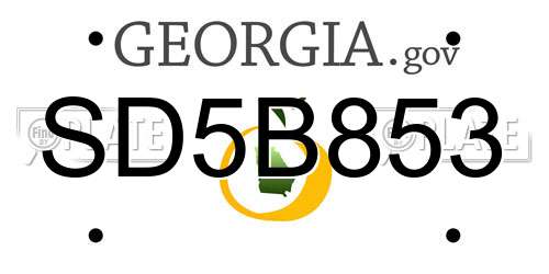SD5B853 Georgia License Plate