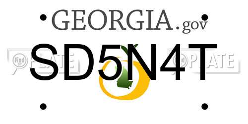 SD5N4T Georgia License Plate