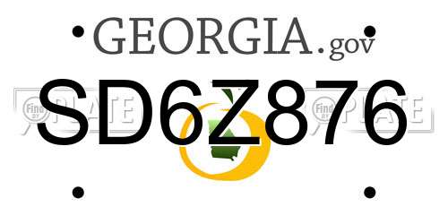 SD6Z876 Georgia License Plate