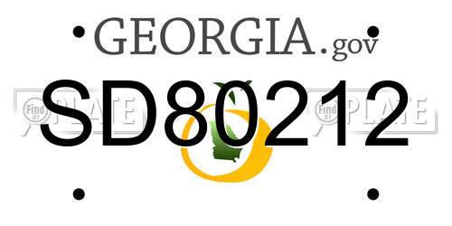 SD80212 Georgia License Plate