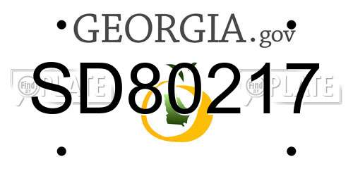 SD80217 Georgia License Plate