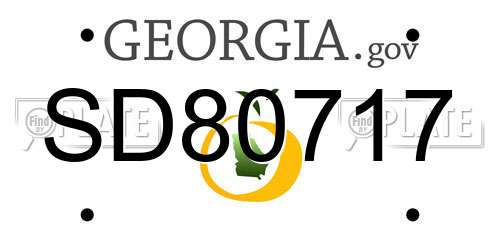 SD80717 Georgia License Plate