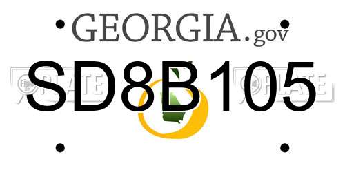 SD8B105 Georgia License Plate