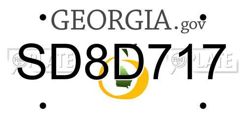 SD8D717 Georgia License Plate