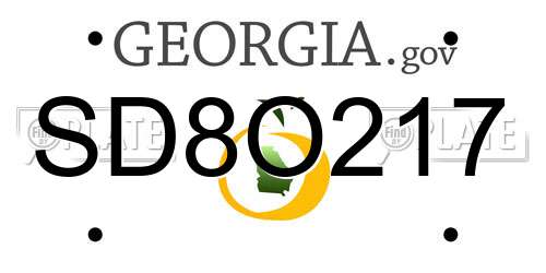 SD8O217 Georgia License Plate