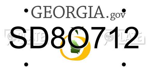 SD8O712 Georgia License Plate