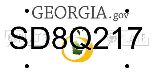 SD8Q217 Georgia License Plate