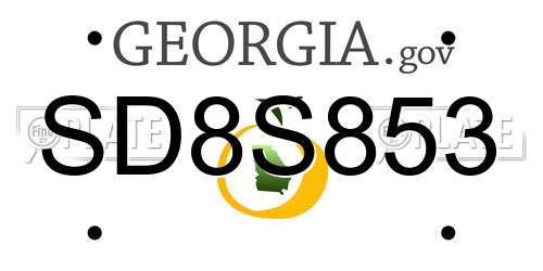 SD8S853 Georgia License Plate