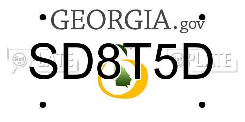 SD8T5D Georgia License Plate
