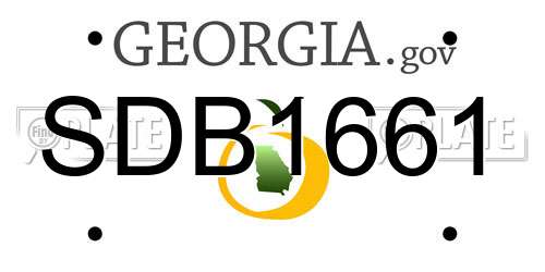 SDB1661 Georgia License Plate