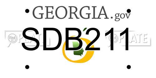 SDB211 Georgia License Plate