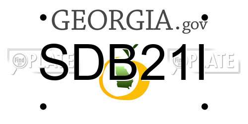 SDB21I Georgia License Plate