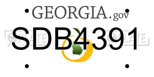 SDB4391 Georgia License Plate
