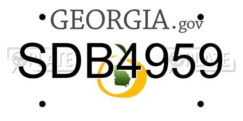 SDB4959 Georgia License Plate