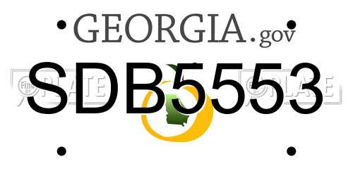 SDB5553 Georgia License Plate