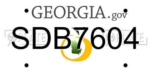 SDB7604 Georgia License Plate