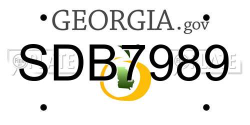SDB7989 Georgia License Plate
