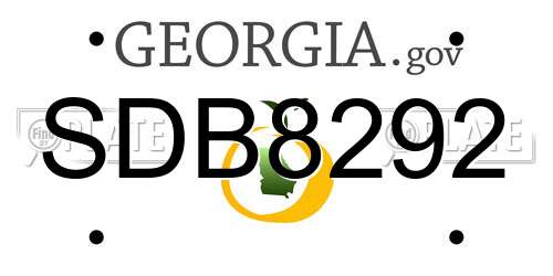 SDB8292 Georgia License Plate