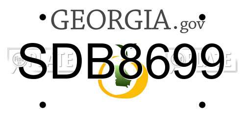 SDB8699 Georgia License Plate