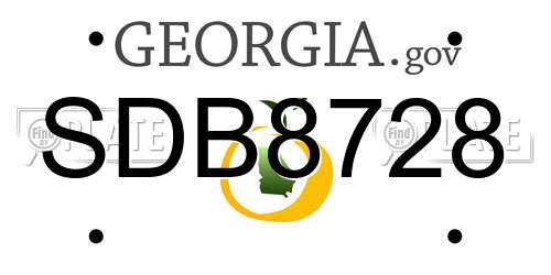 SDB8728 Georgia License Plate