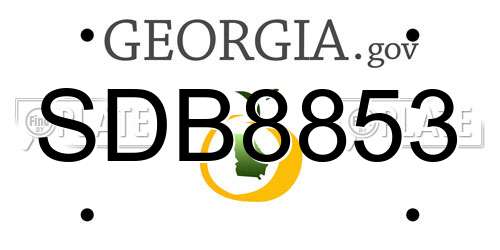 SDB8853 Georgia License Plate