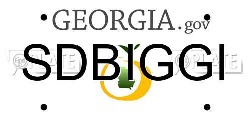 SDBIGGI Georgia License Plate