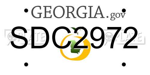 SDC2972 Georgia License Plate