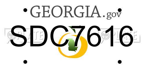SDC7616 Georgia License Plate