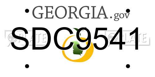 SDC9541 Georgia License Plate