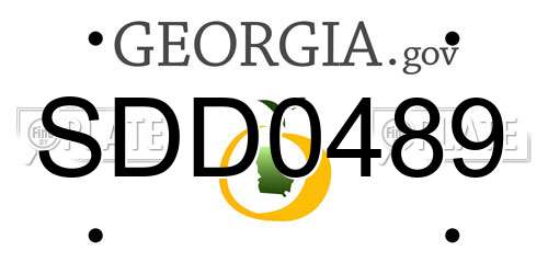 SDD0489 Georgia License Plate