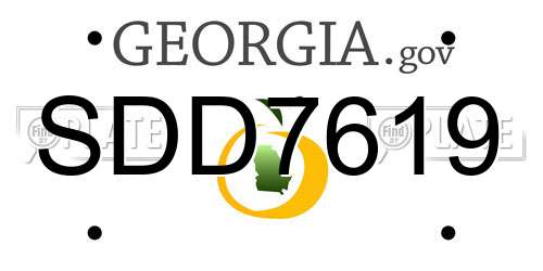 SDD7619 Georgia License Plate
