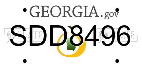 SDD8496 Georgia License Plate