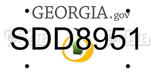 SDD8951 Georgia License Plate