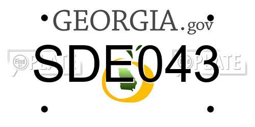 SDE043 Georgia License Plate