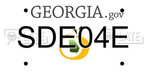 SDE04E Georgia License Plate