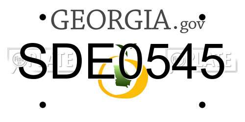 SDE0545 Georgia License Plate