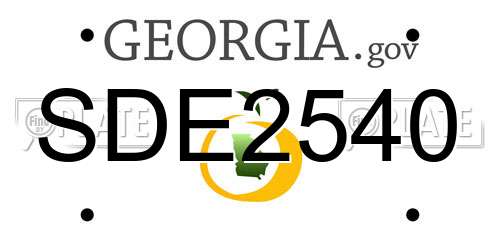 SDE2540 Georgia License Plate