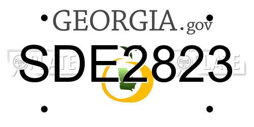 SDE2823 Georgia License Plate
