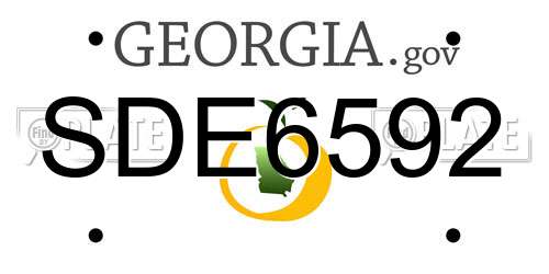 SDE6592 Georgia License Plate