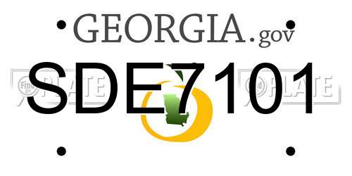 SDE7101 Georgia License Plate