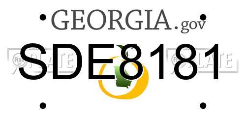 SDE8181 Georgia License Plate