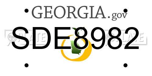 SDE8982 Georgia License Plate
