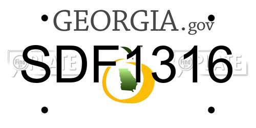 SDF1316 Georgia License Plate