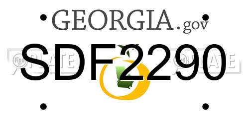 SDF2290 Georgia License Plate