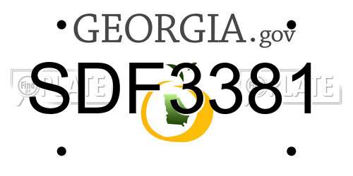 SDF3381 Georgia License Plate