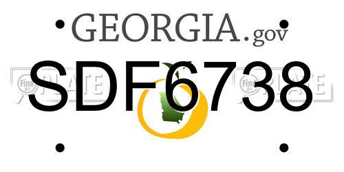 SDF6738 Georgia License Plate