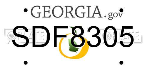 SDF8305 Georgia License Plate