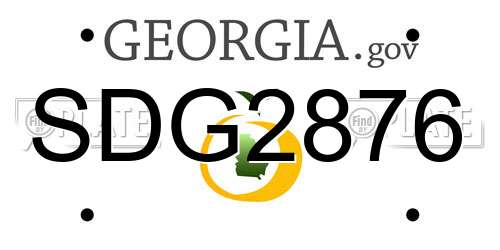 SDG2876 Georgia License Plate
